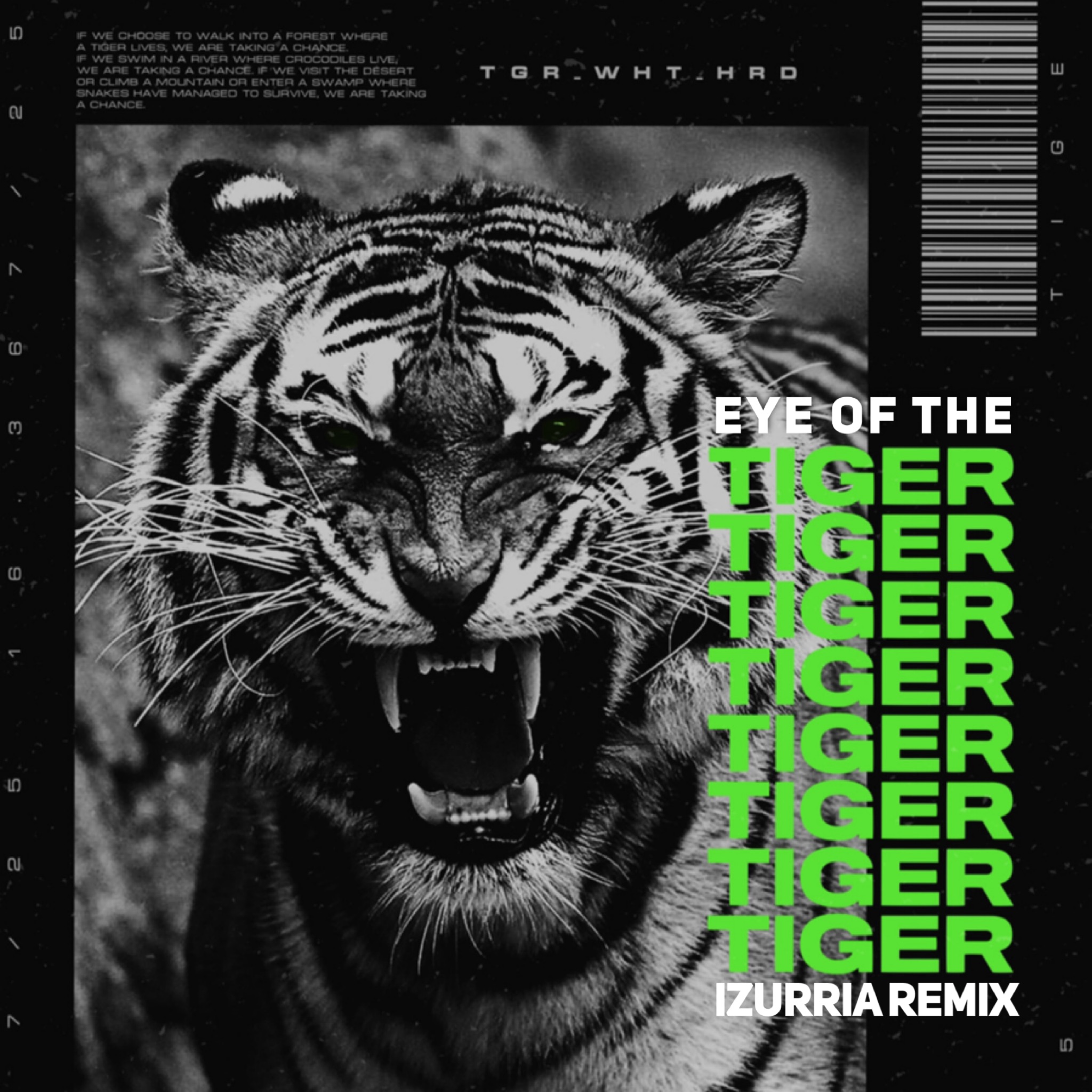 Eye of the Tiger [??????? Remix] by Survivor Free Download on Hypeddit