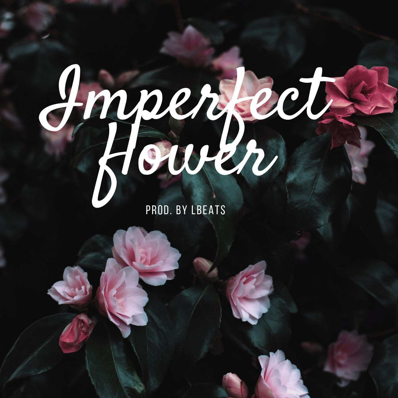 Quando Rondo Imperfect Flower (BreMix) by Bre Daniels Free
