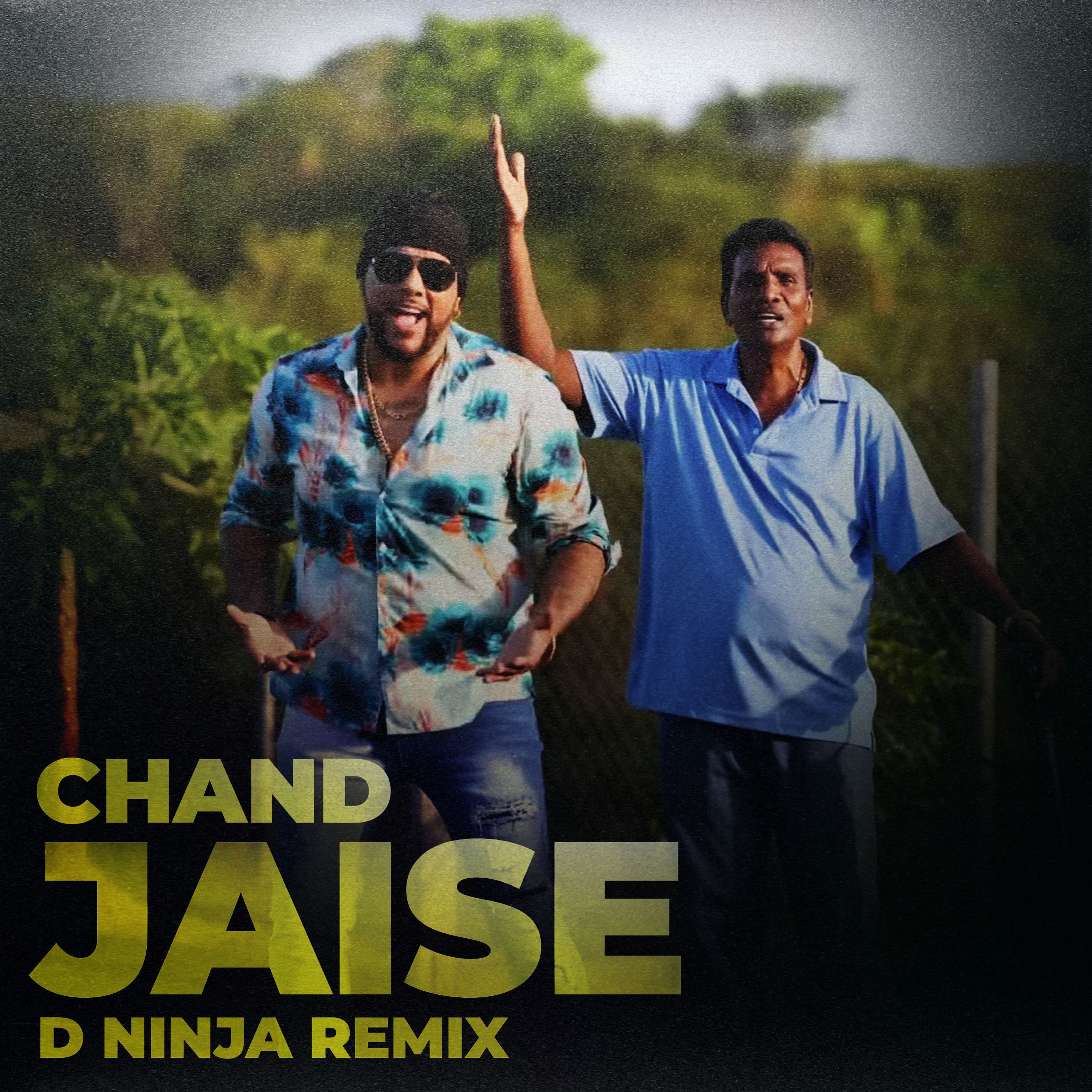 Raymond Ramnarine X Rakesh Yankaran Chand Jaise (D Ninja Remix) by D