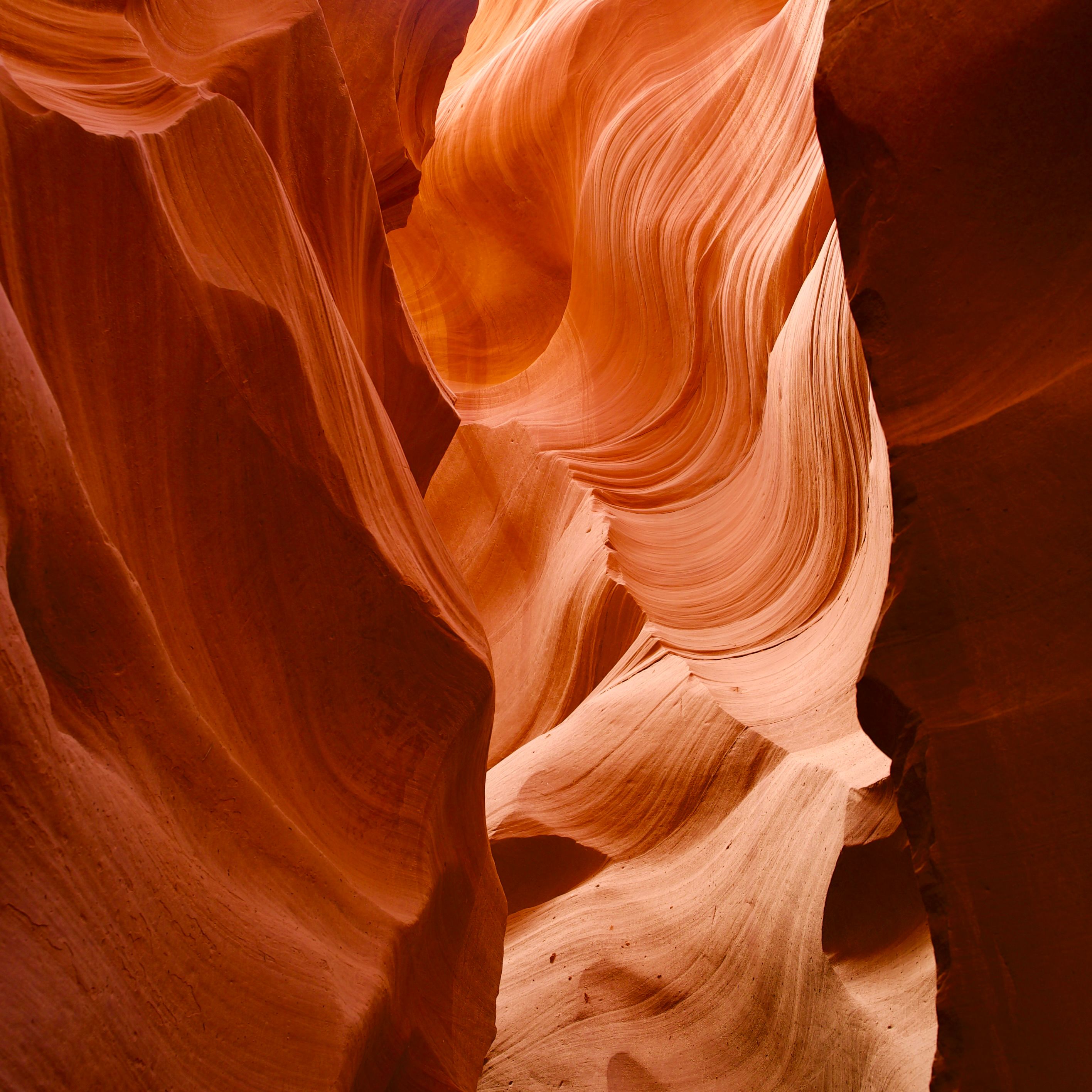 FREE DOWNLOAD Ryan Kemmer Nature Of Sound (Original Mix) by