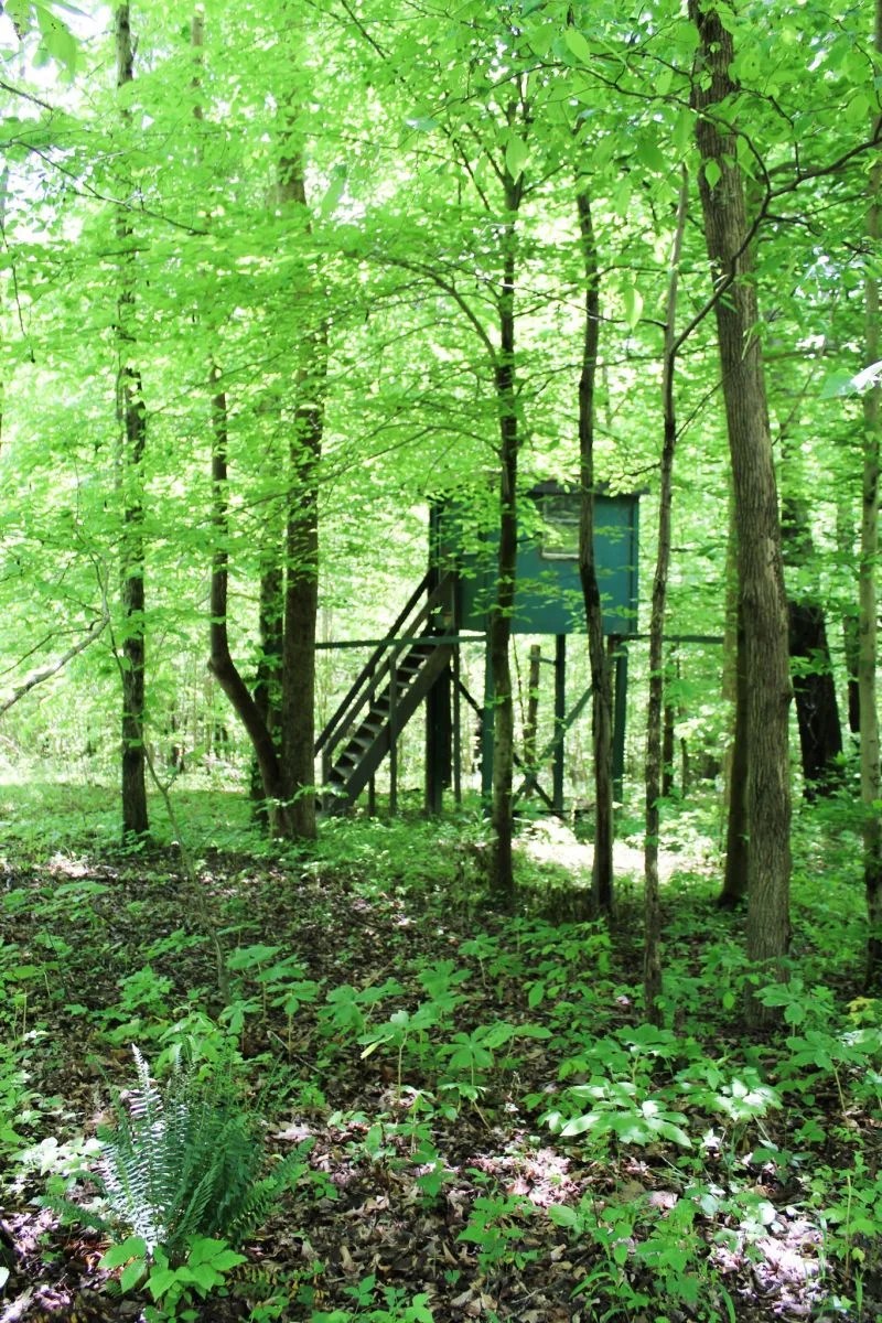 Hype Hunters of Mcconnelsville Ohio Hype Hunters Deer & Turkey Hunting