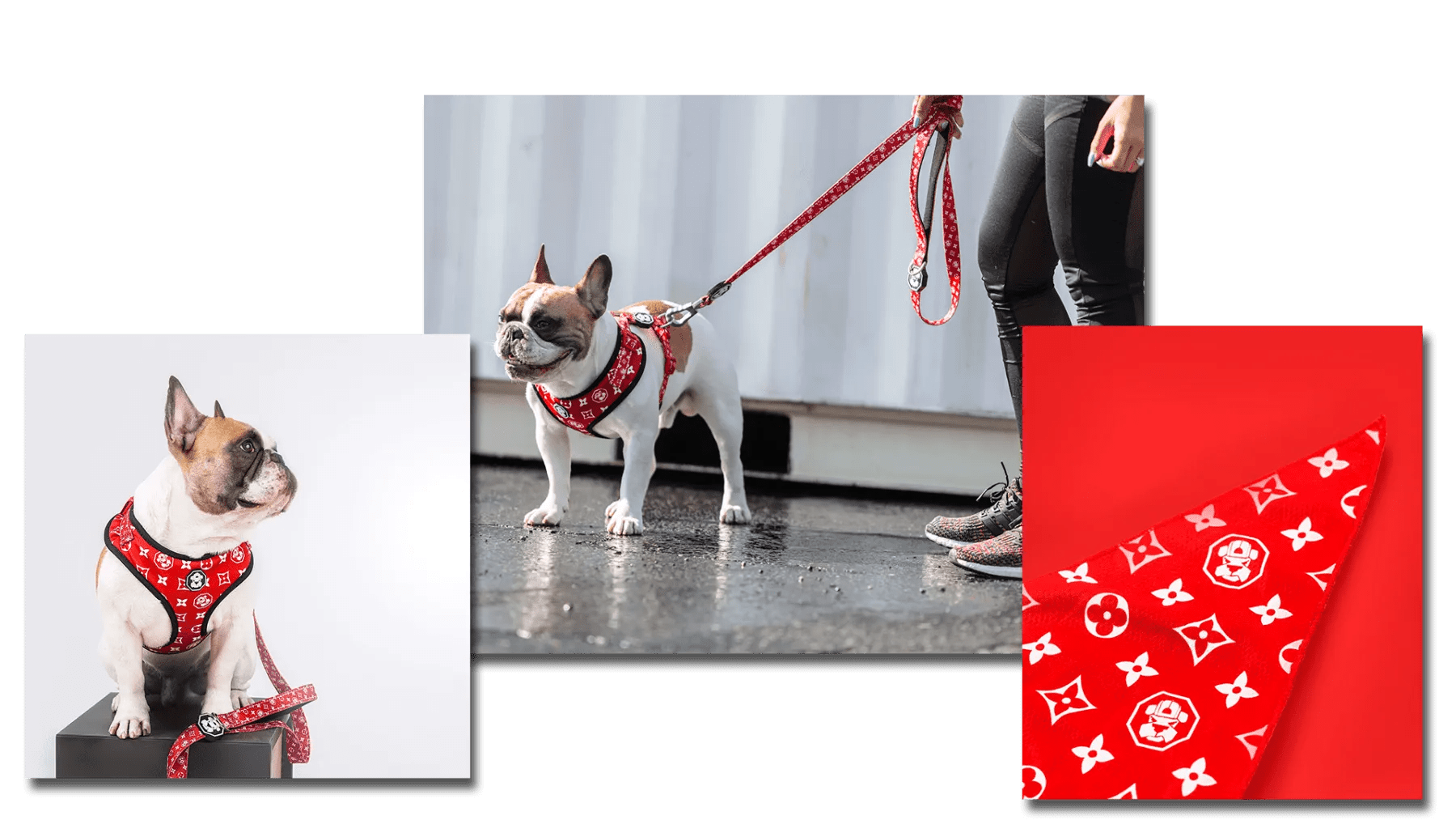 The HypePets Designer & Streetwear Fashion Guide for Dogs