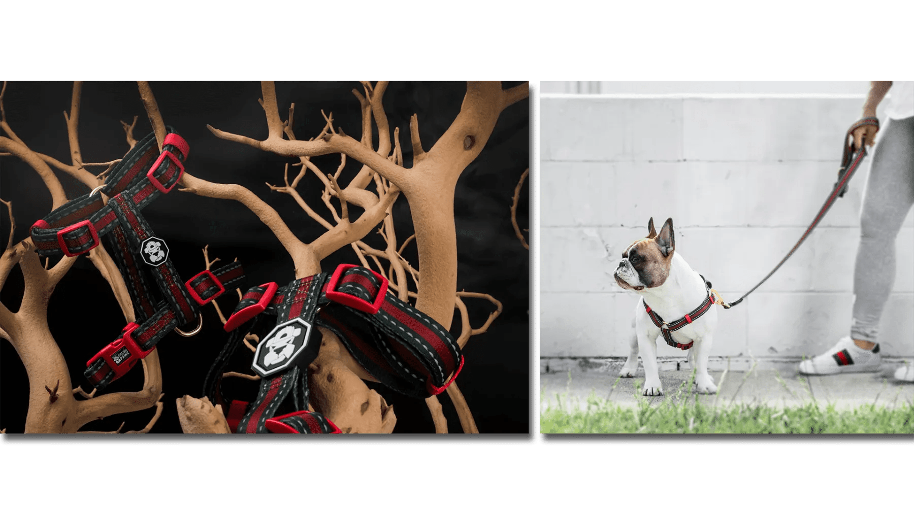 The HypePets Designer & Streetwear Fashion Guide for Dogs