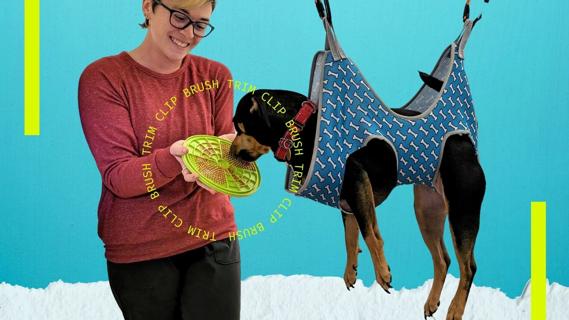 5 Best Dog Grooming Hammocks for Keeping Everyone Safe