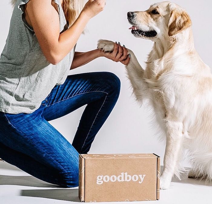 DirecttoCanine Supplement Company Launches to Help Your Good Boy (Or
