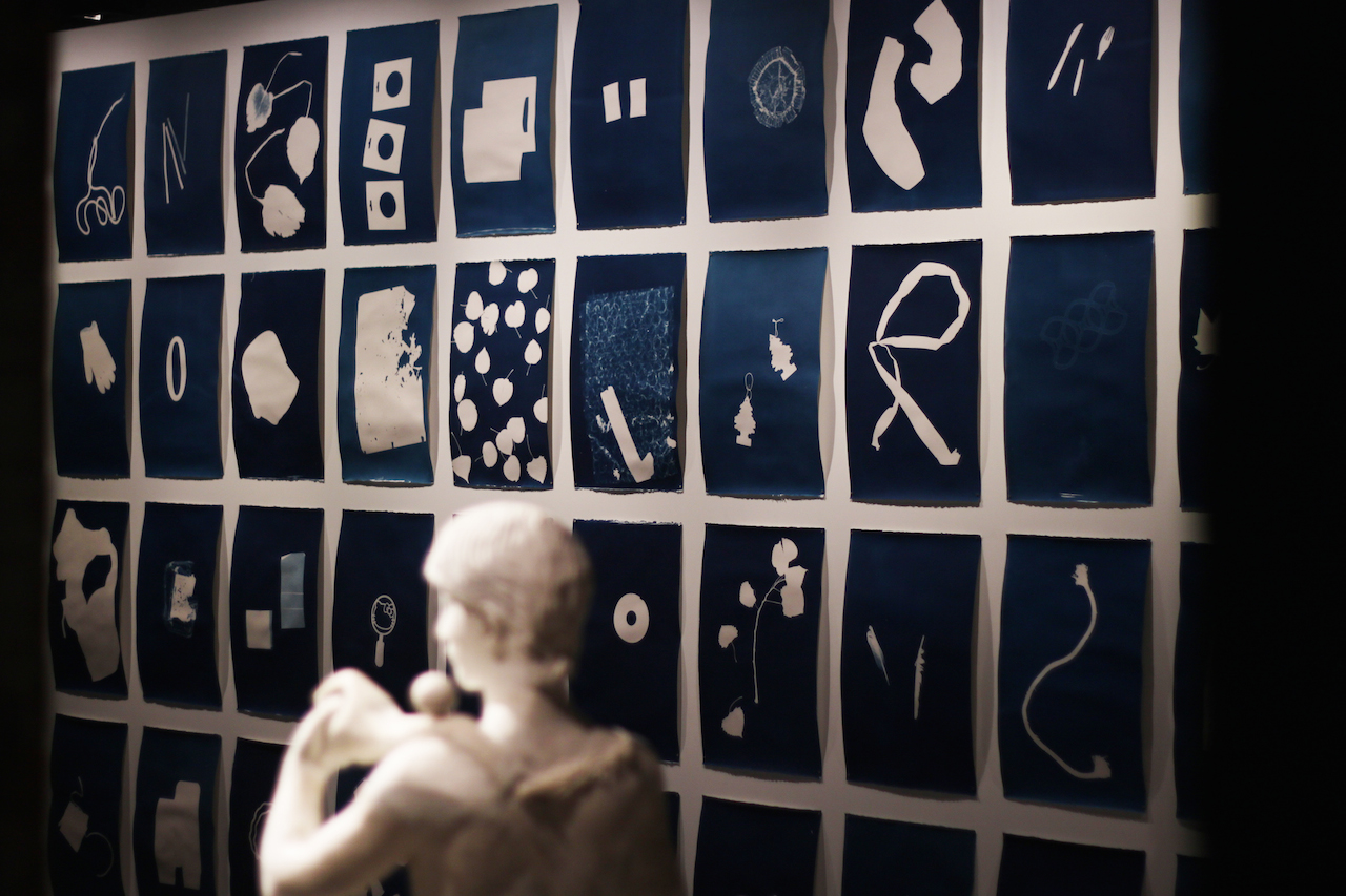 Stray Dogs, Argentine Zines, and Subterranean Art at SculptureCenter