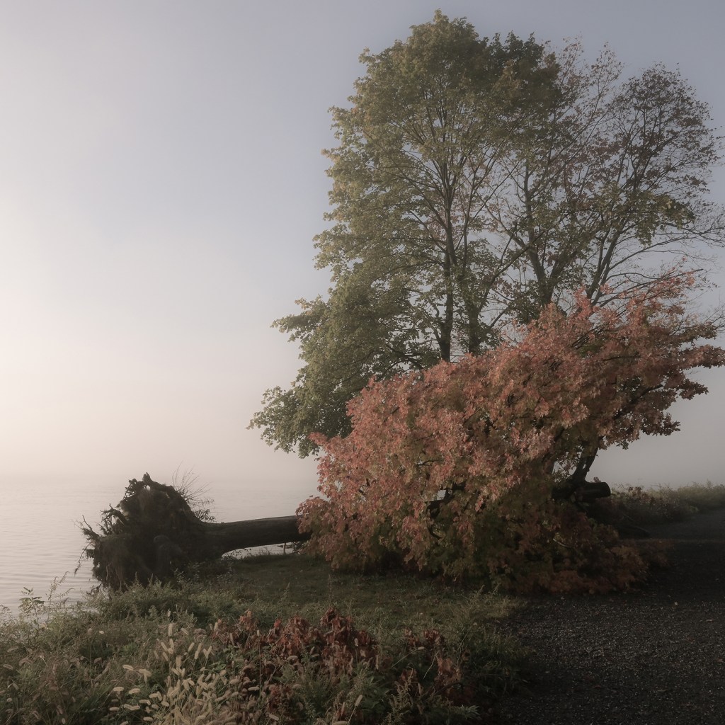 10 Exhibitions to See in Upstate New York, November 2025 10 Exhibitions to See in Upstate New York, November 2025