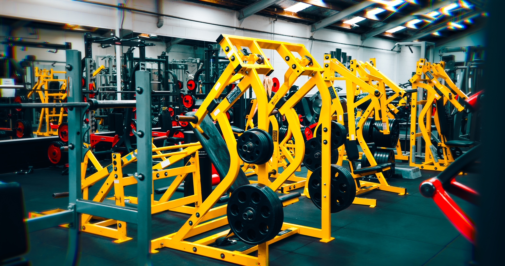 Learn About Our Unique Gym Experience Leading Christchurch Gym