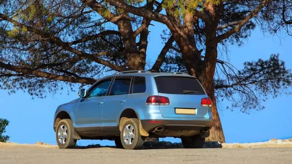 How To Get Tree Sap Off A Car Without Damaging Paint