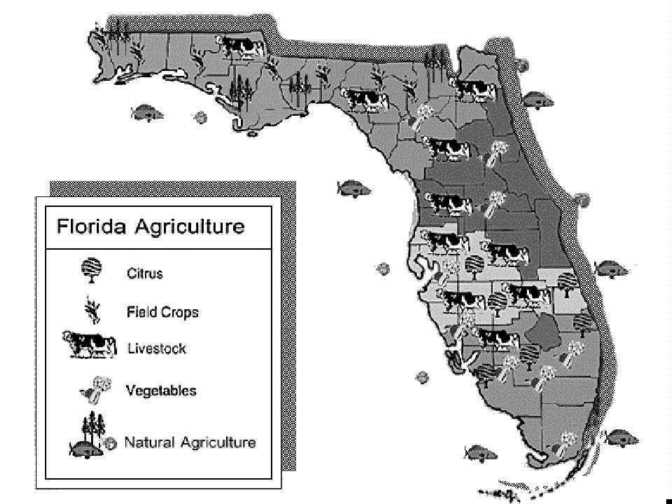 6. Agribusiness Needs