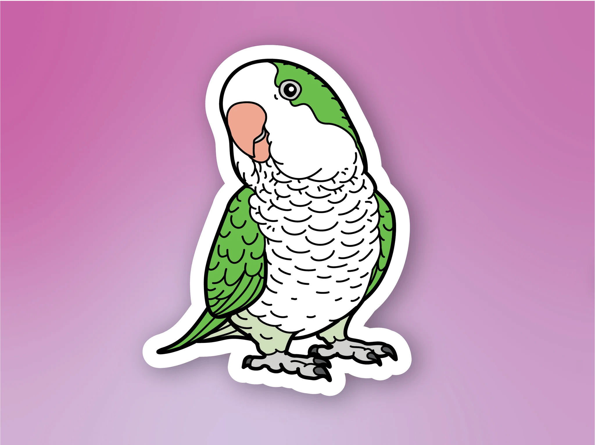 Quaker Parrot Sticker Hyper Finch