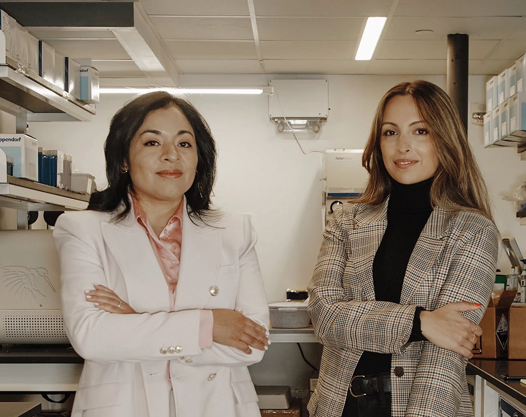 Newsha Ghaeli Hyperplane