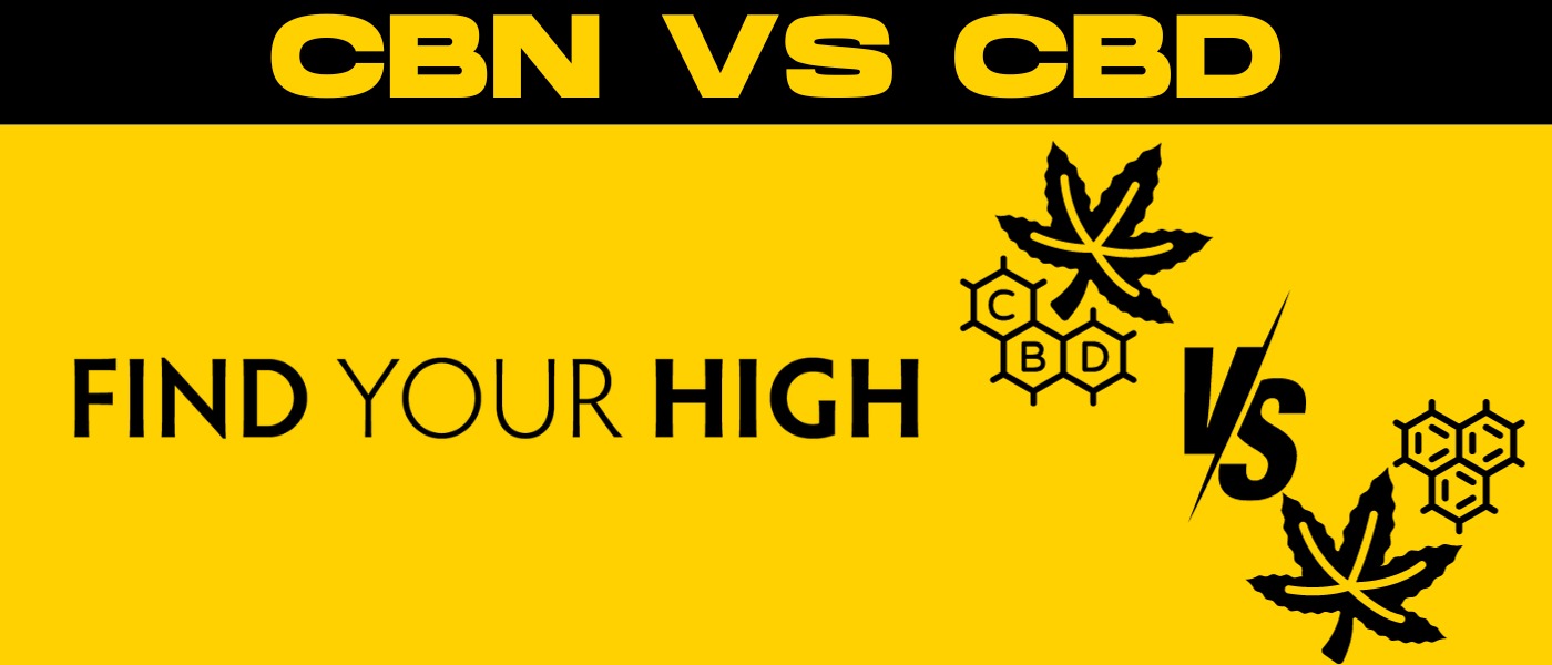 Decoding the Cannabinoids CBN vs CBD