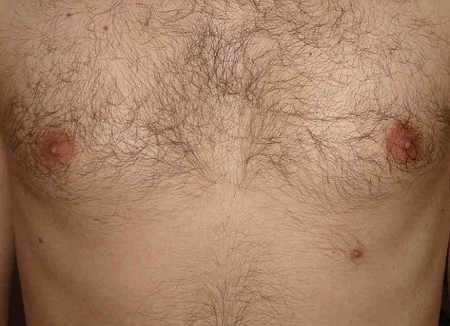 10 polêmicos fatos sobre mamilos