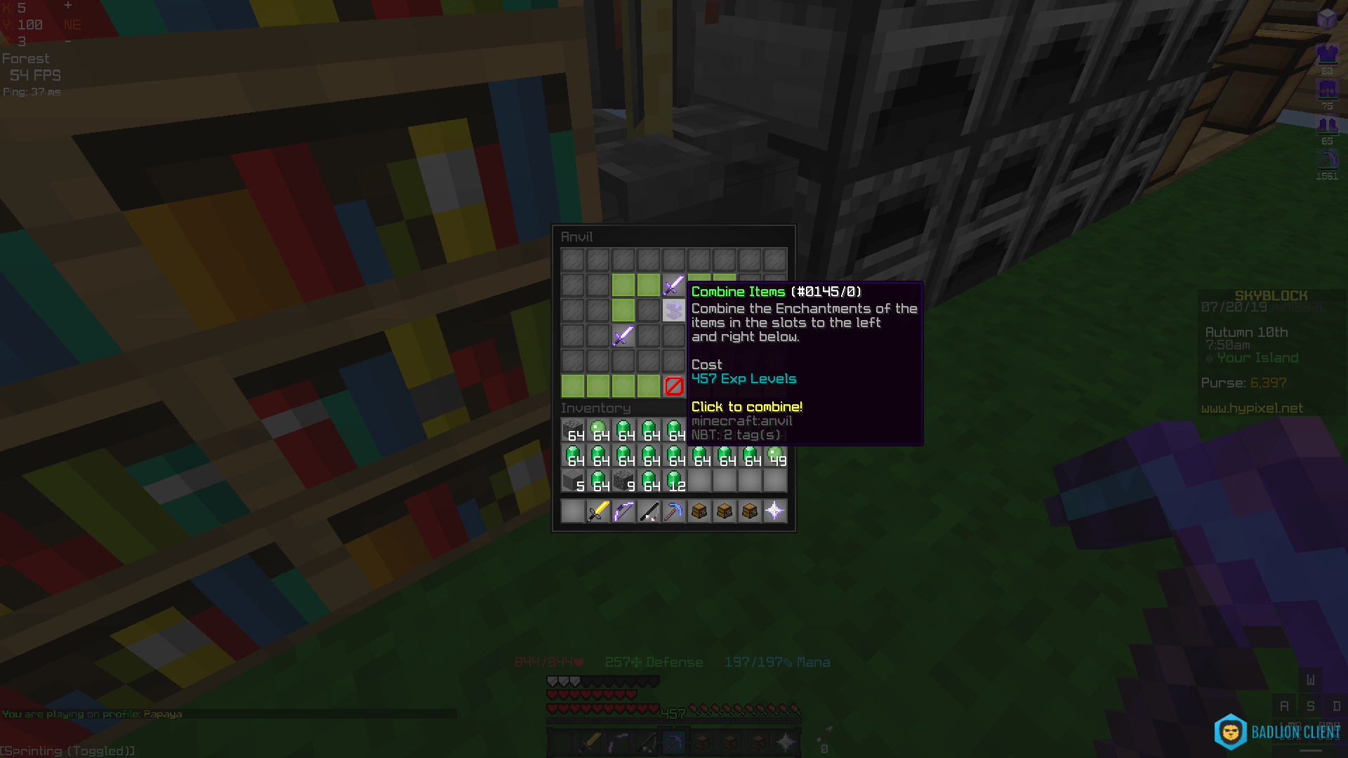 Enchantments Minecraft Hypixel Emaan Eastwood