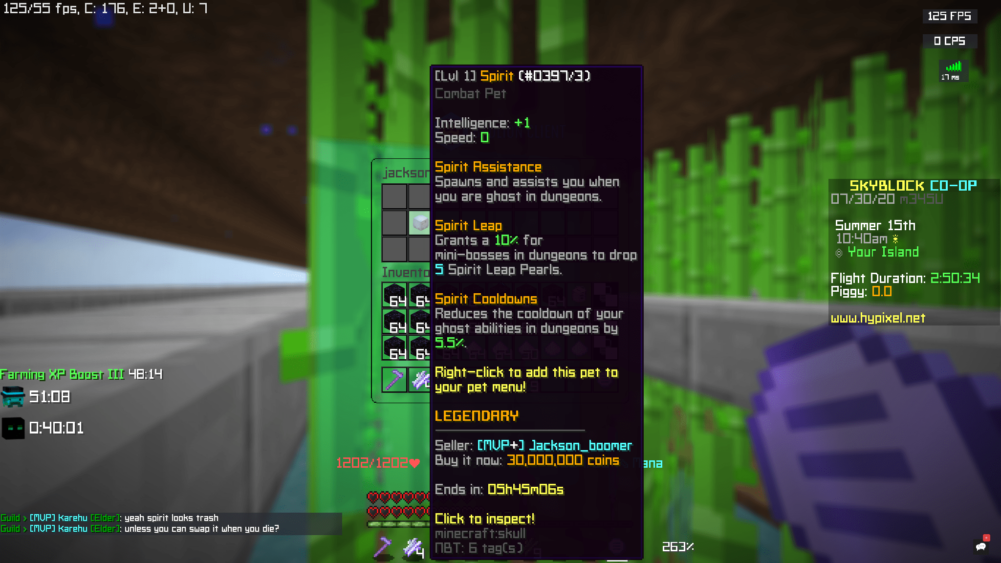 Cheap Pets Hypixel Skyblock The W Guide