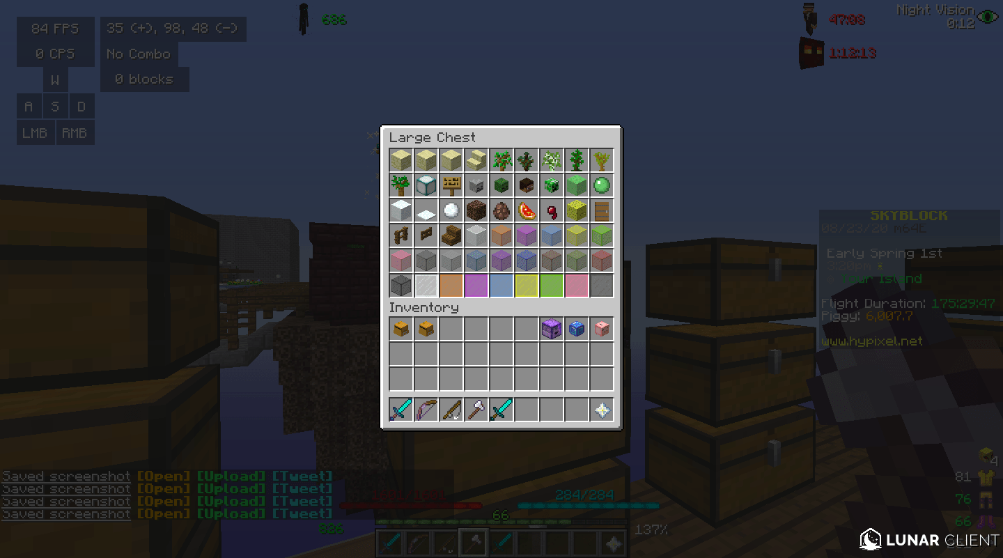 (Challenge) Collecting all items in Hypixel SkyBlock UPDATE Hypixel