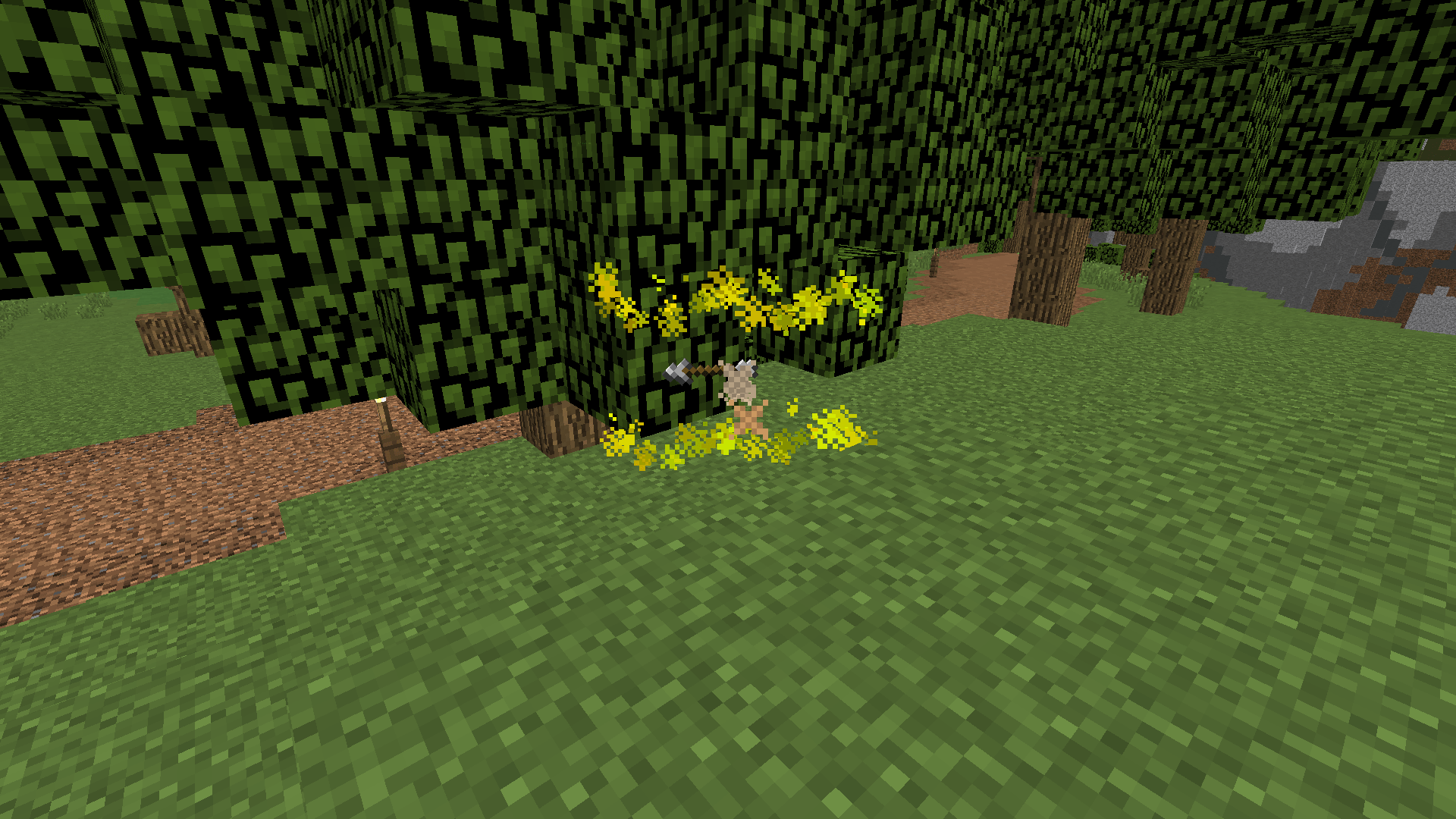 Tip Griffin Burrow Particles and meaning Hypixel Forums