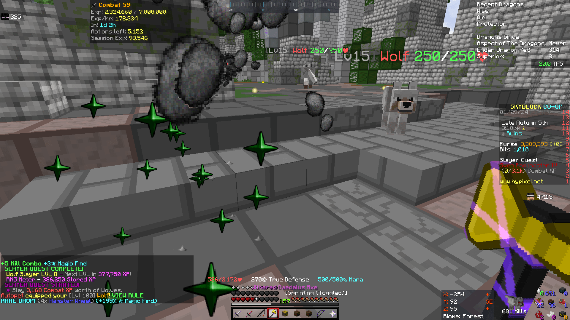 Grandma wolf pet Hypixel Forums