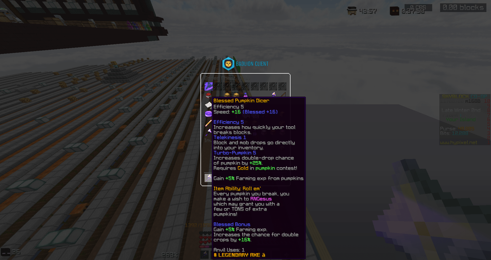 Am I missing anything? Hypixel Minecraft Server and Maps