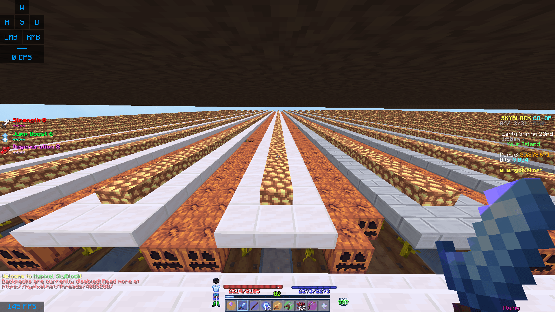 Minecraft Pumpkin Farm Layout