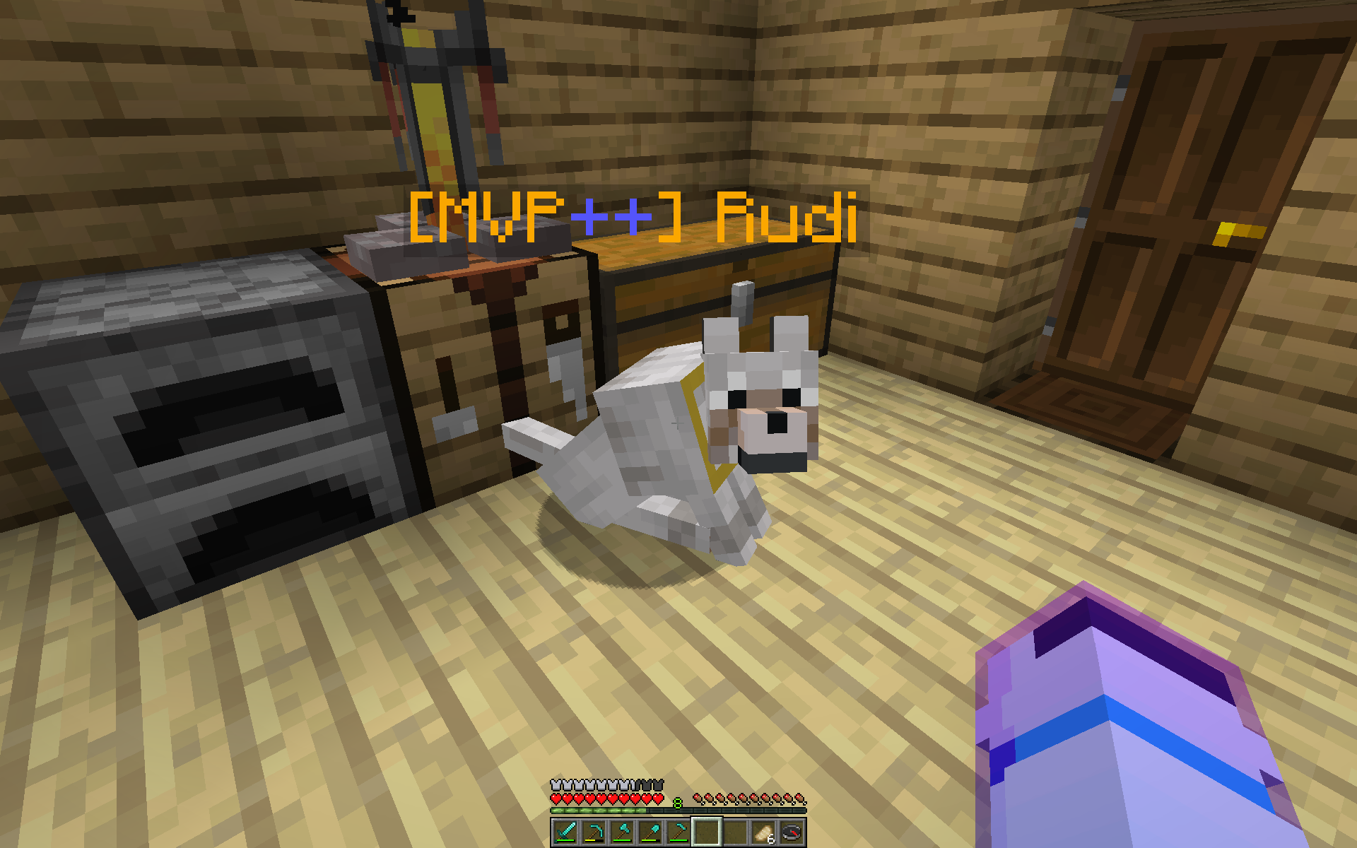 How To Make A Name Tag In Minecraft