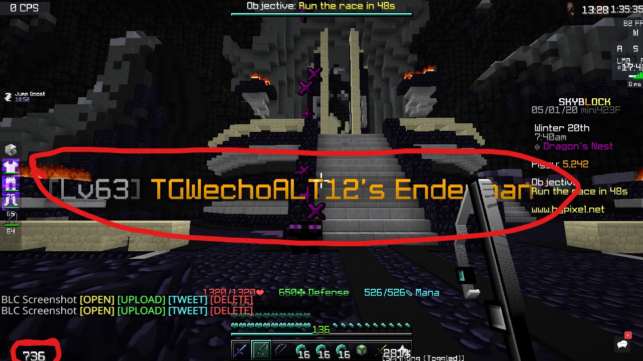enderman pet Hypixel Minecraft Server and Maps