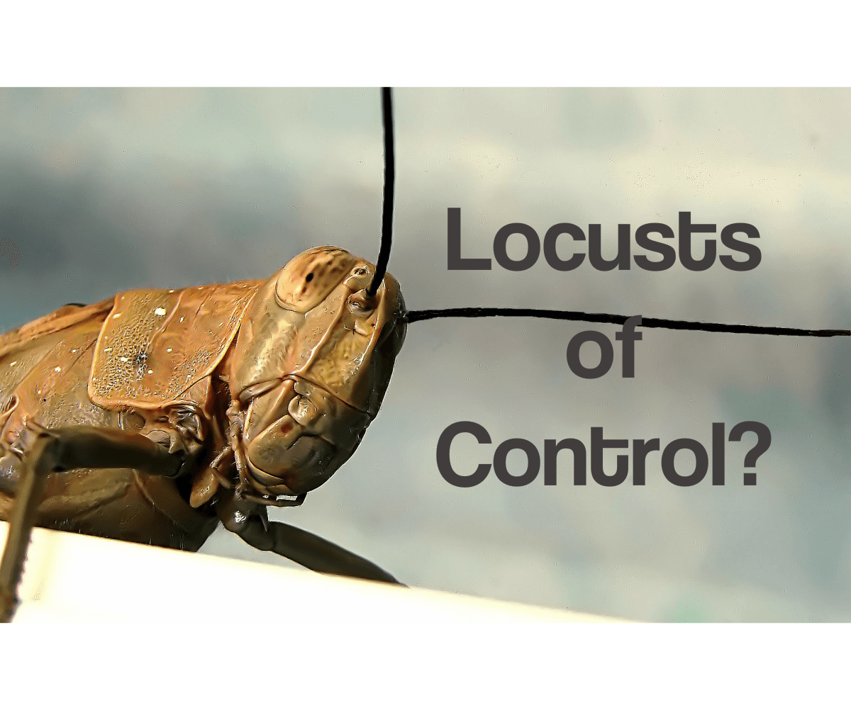 Locusts Of Control NLP & Hypnosis Training