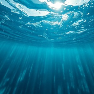 What If the Ocean Became Freshwater?