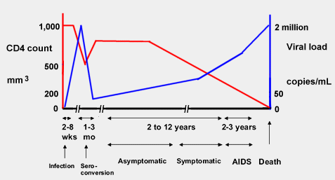 2.14 How Cd4 And Viral Load Are Related | Training Manual | Hiv I-Base