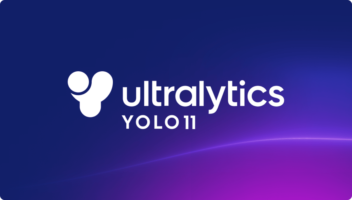 YOLO11全解析：从原理到实战，全流程体验下一代目标检测
