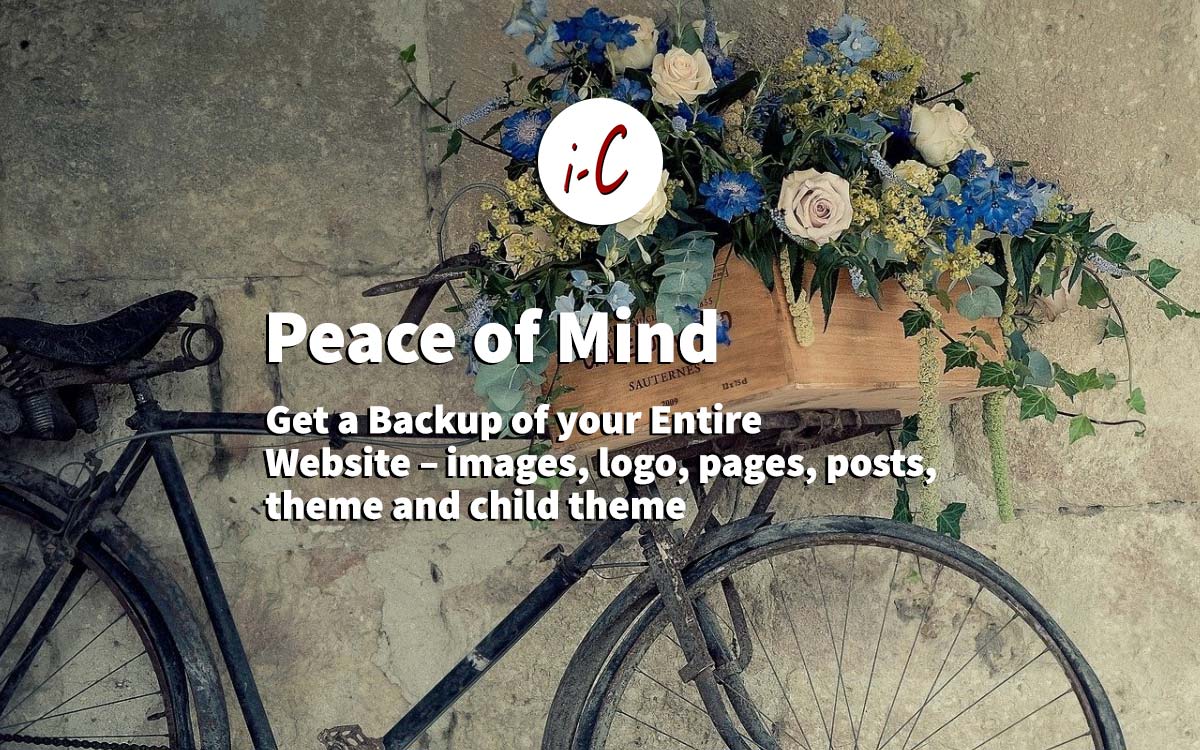 Peace of Mind Backup of your Website iC web