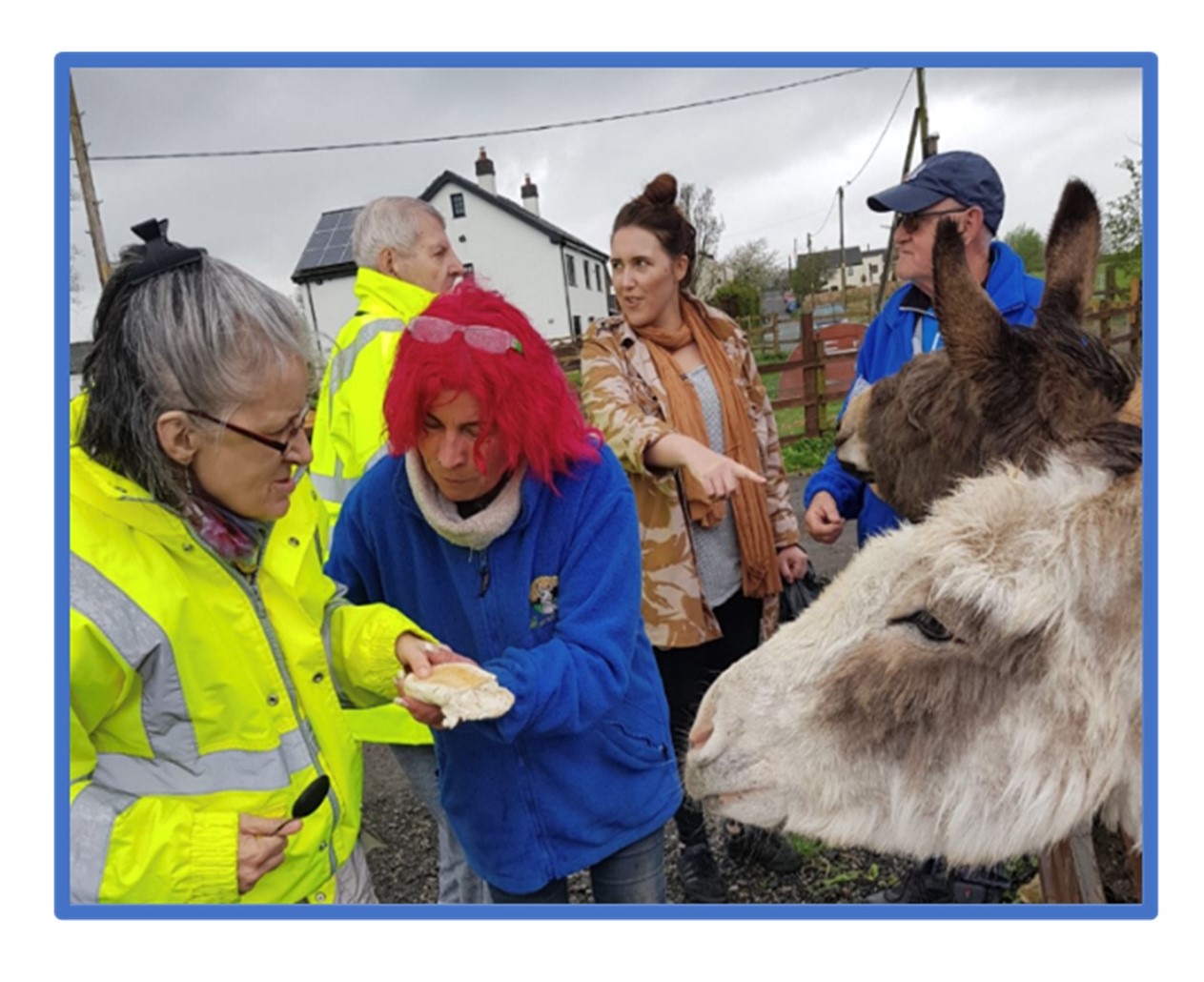 Wigan Council I network