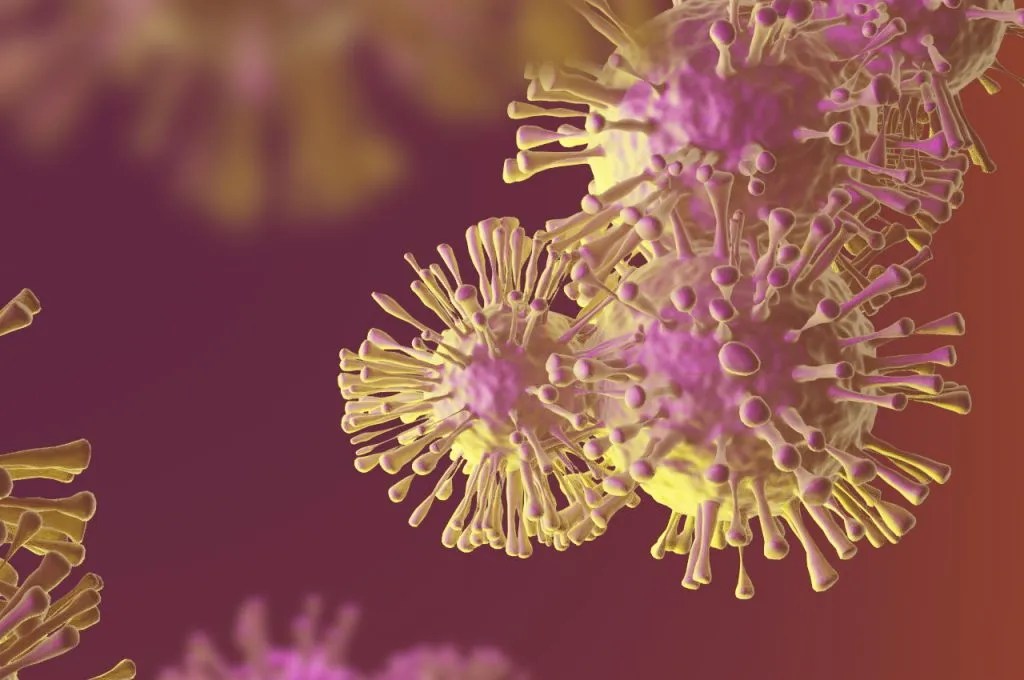 Andrea Grassi IVET Diagnostica Veterinaria