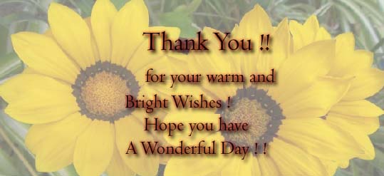 Thank You For Your Warm Wishes. Free Thank You eCards, Greeting Cards