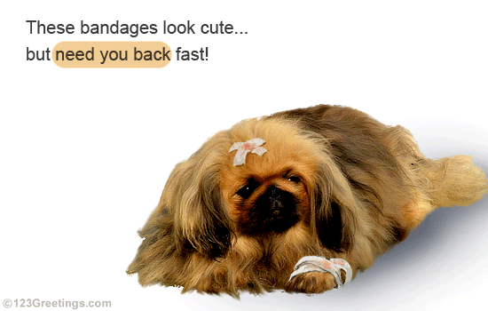 Wishes For A Speedy Recovery. Free Get Well Soon eCards, Greeting Cards