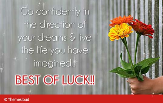 Best Of Luck For Your Future Ahead... Free Good Luck eCards 123 Greetings