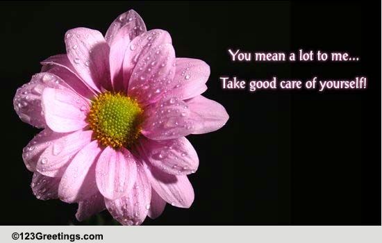 You Mean A Lot To Me! Free Take Care eCards, Greeting Cards 123 Greetings