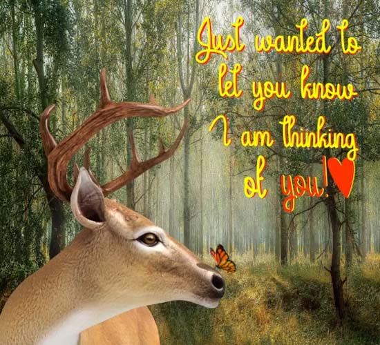 Thinking Of You Deer. Free Thinking of You eCards, Greeting Cards 123