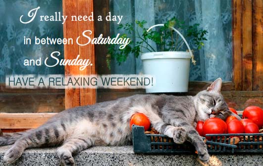 I Really Want To Relax! Free Enjoy the Weekend eCards, Greeting Cards