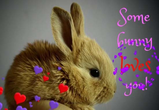 Some Bunny Love Code. Free Cute Love eCards, Greeting Cards 123 Greetings