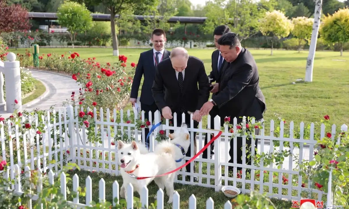 North Korea’s Kim gives pair of dogs to Putin Life & Style Aaj
