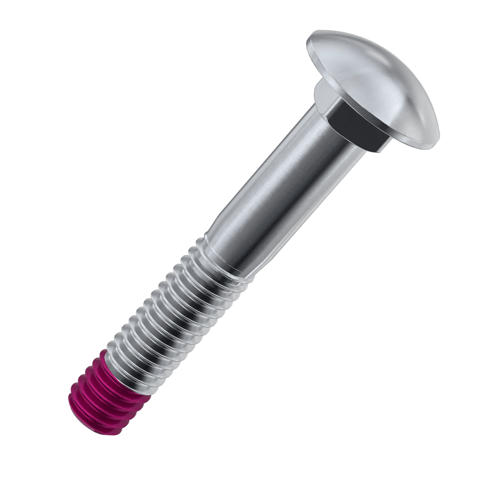 M6 X 80mm Coach Bolts Official Sale