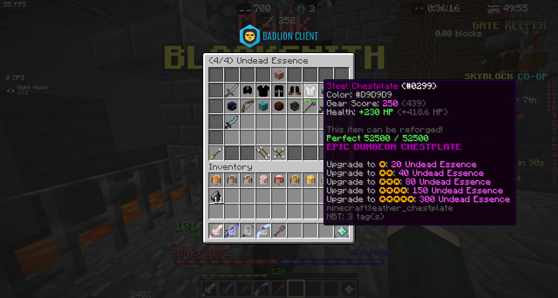 New Dungeon Gear Leak! Found in Essence Crafting!! Hypixel