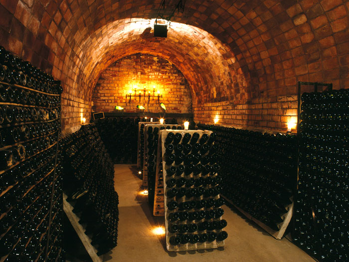 Wine & Cava Tour to Penedes BARCELONA SECRETS Private Tour Guide