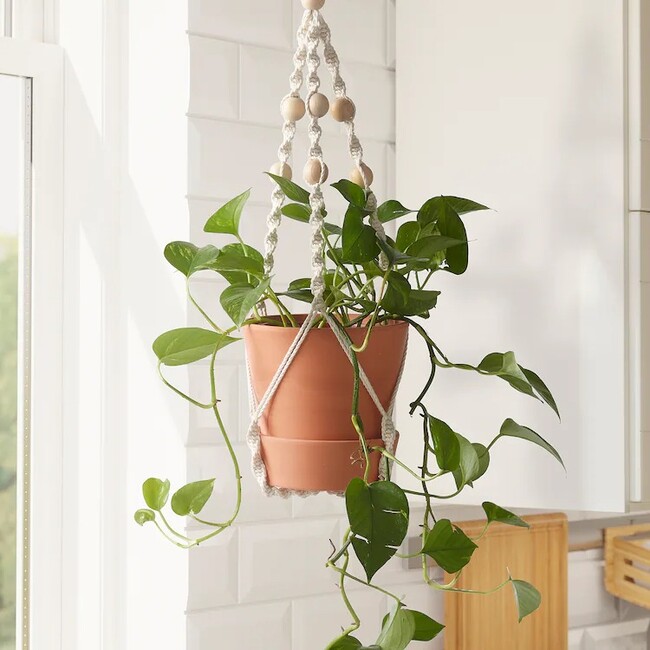 Estas son las nuevas macetas y soportes para plantas de Ikea con las
