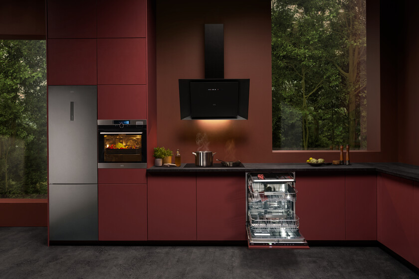 AEG Presents Its New Range Of EcoLine Electrical Appliances, The Firm's