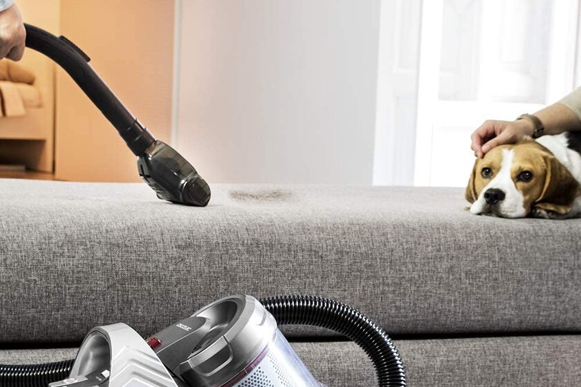 Amazon's Top 5 Top Rated Sled Vacuums Bullfrag