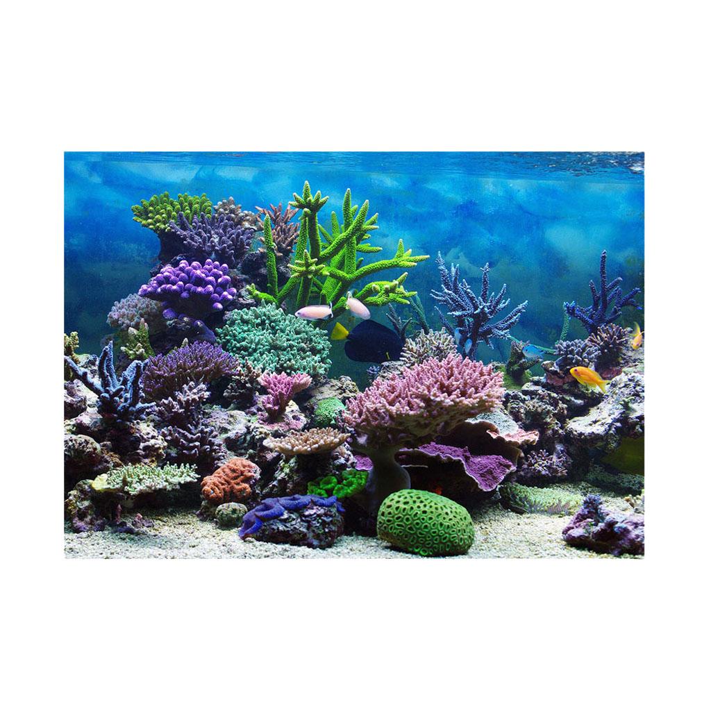 Aquarium Poster Fotorückwand Rückwand Aufkleber Dekoration