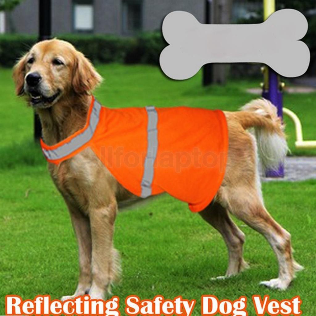 Sicherheitsweste Hund Warnweste Pfote reflektierend Klettverschluss Orange S M L eBay